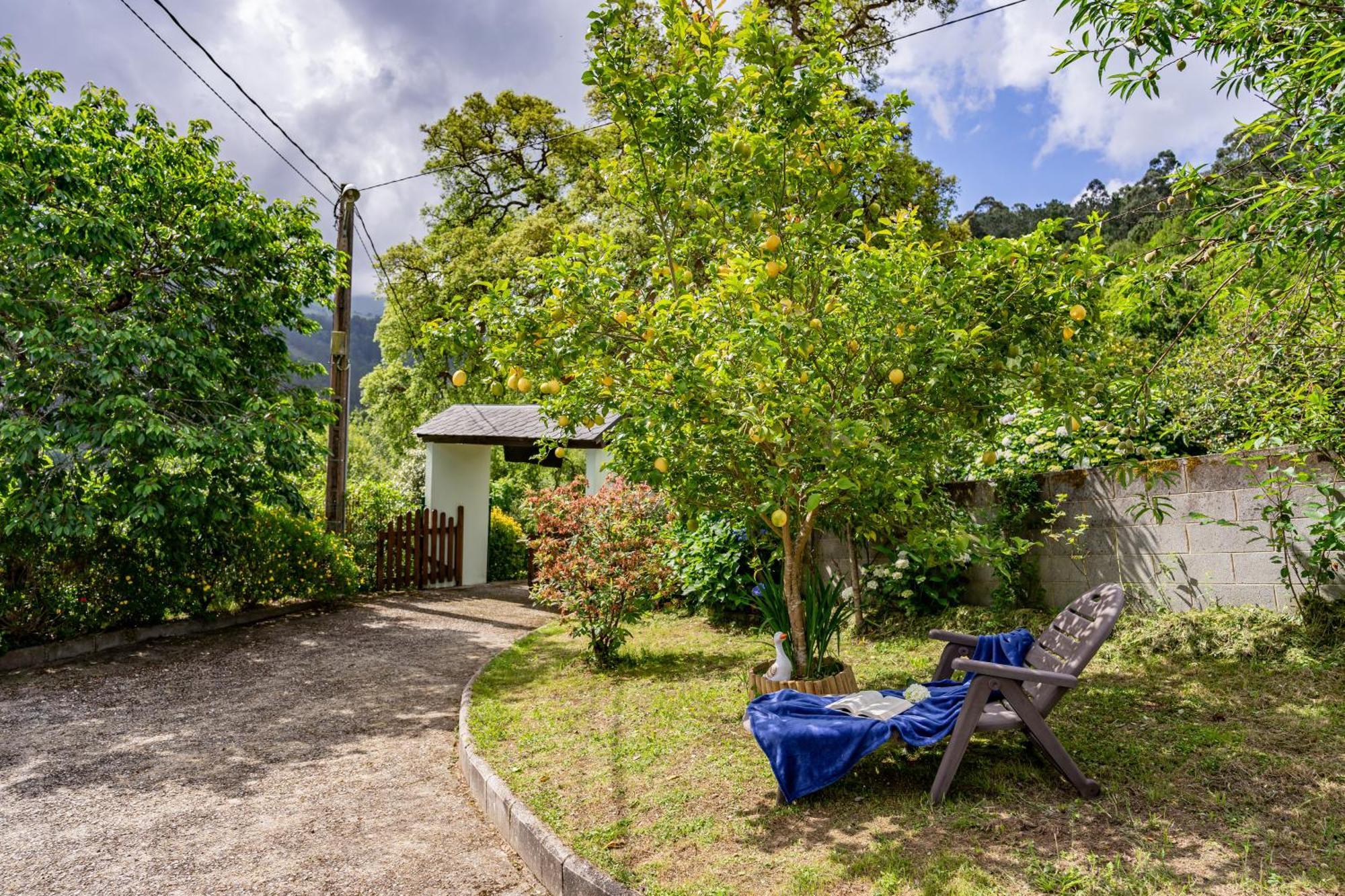 Maseda 1 Villa Villayón Eksteriør billede